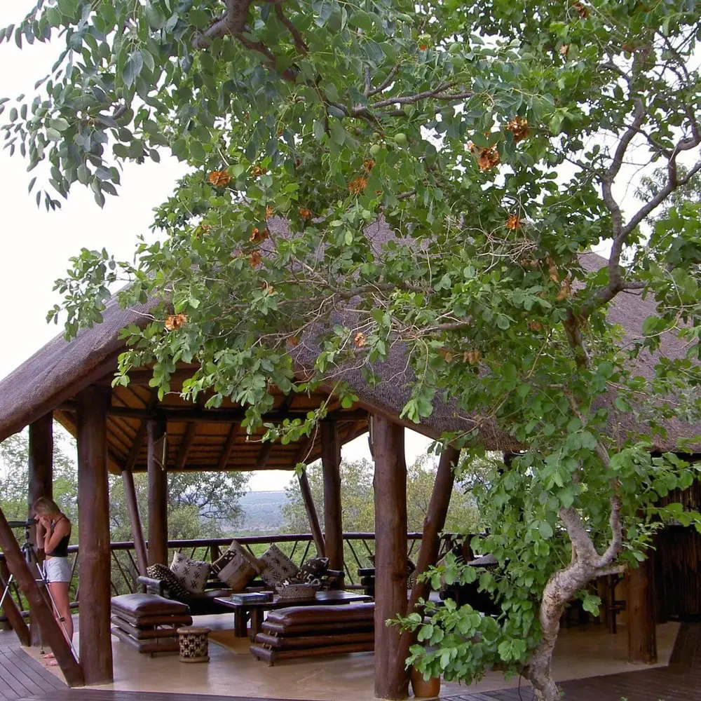 African style thatched roof open plan lodge with outdoors lounge, sofa and chairs plus a girl looking through a telescope.