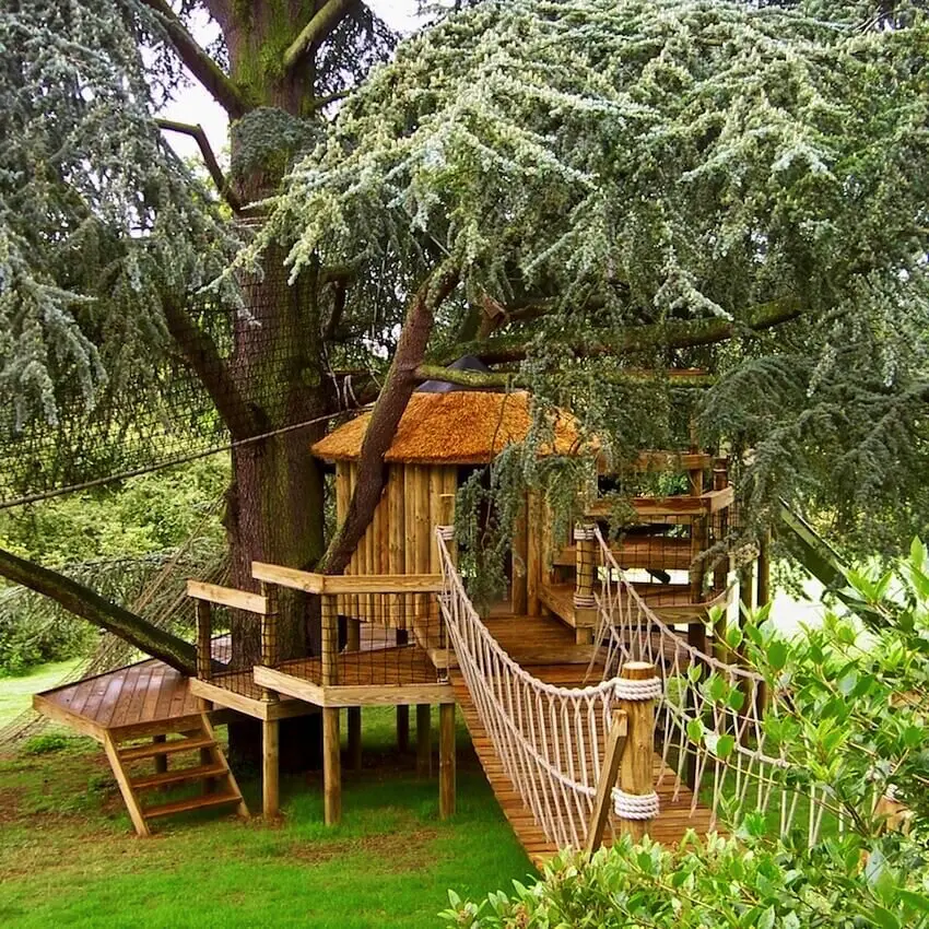 Treehouse wrapping a Blue Cedar tree with Play-Decks and Rope Bridge entrance