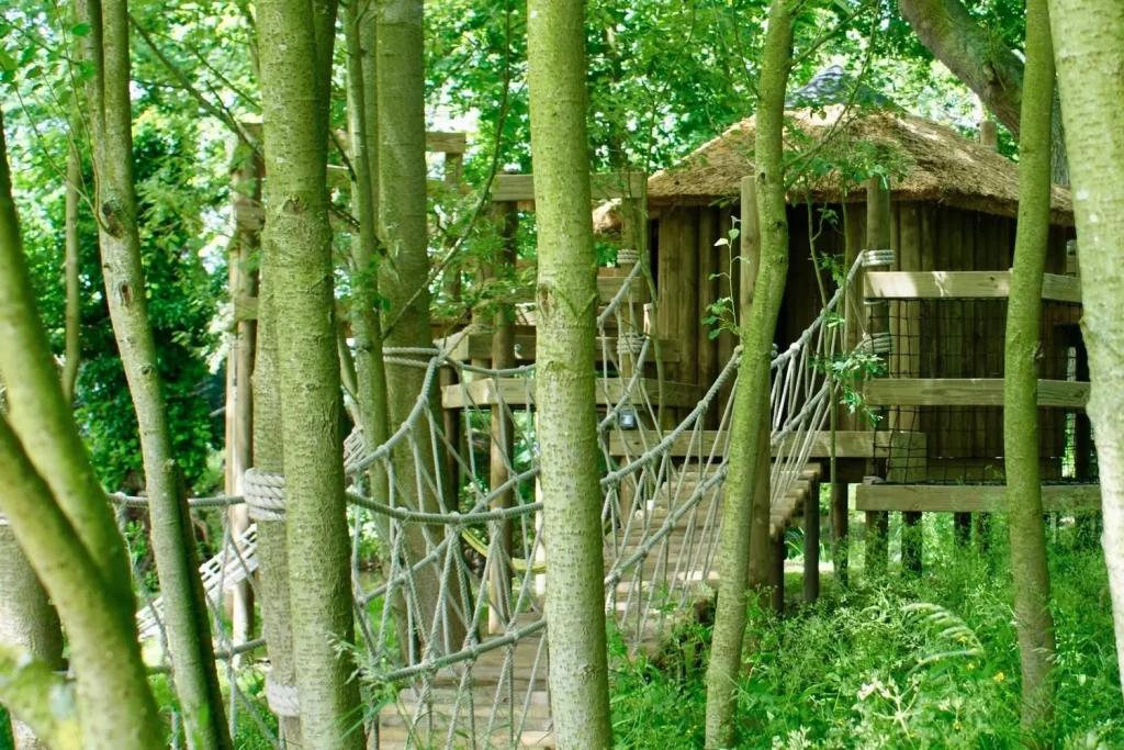 Secret Rope Bridge in woodland leading to a Treehouse surrounded by trees.