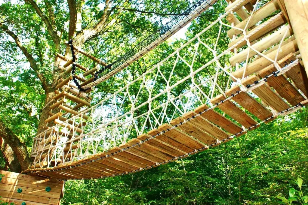Looking upwards to underside to Rope Bridge between two trees as part of a woodland Adventure.