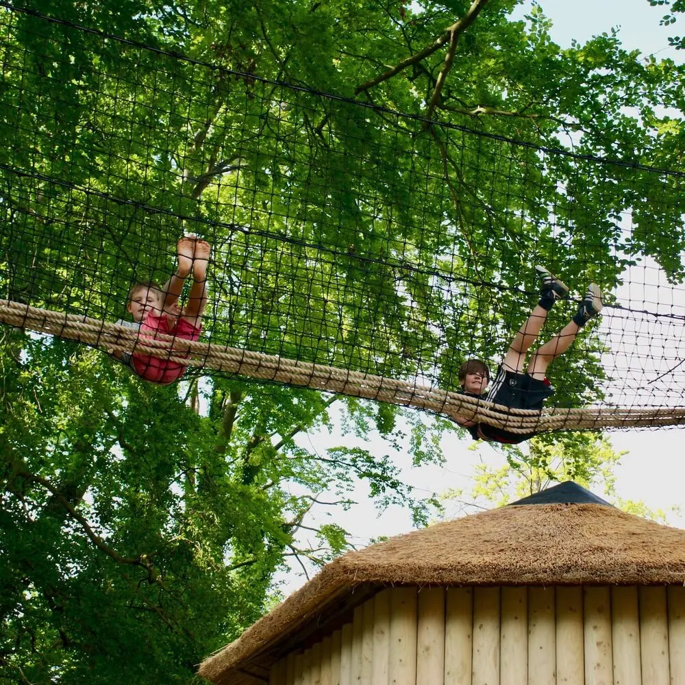 Boy sitting in a Treetop Walkway near a Treehouse