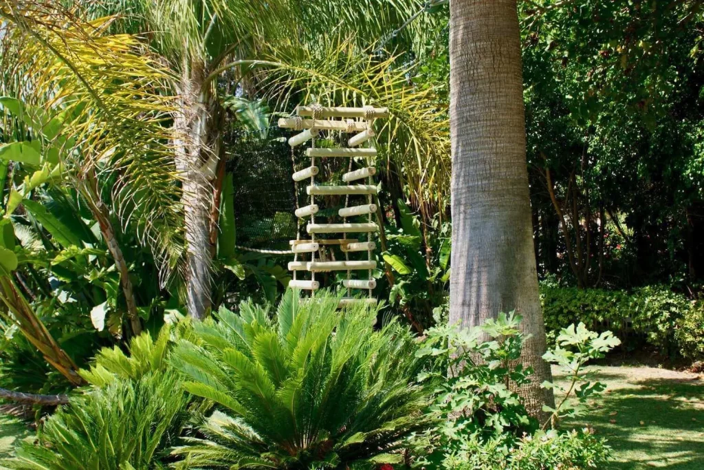 4-sided Rope Ladder suspended from a Treetop Walkway between two palm trees
