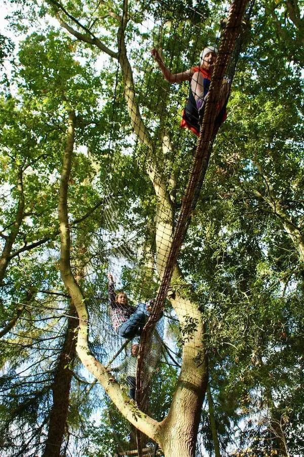 Two Girls walking in a netted Treetop Walkway Rope Bridge high in the tree canopy