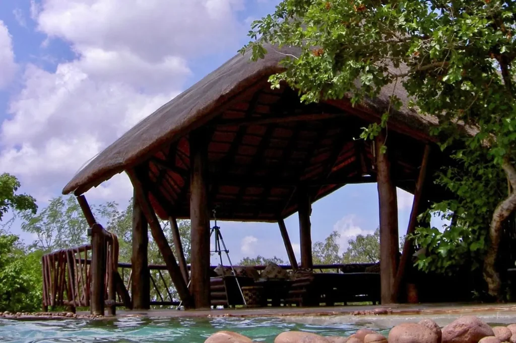 Thatched Treehouse lodge accommodation set next to open swimming pool