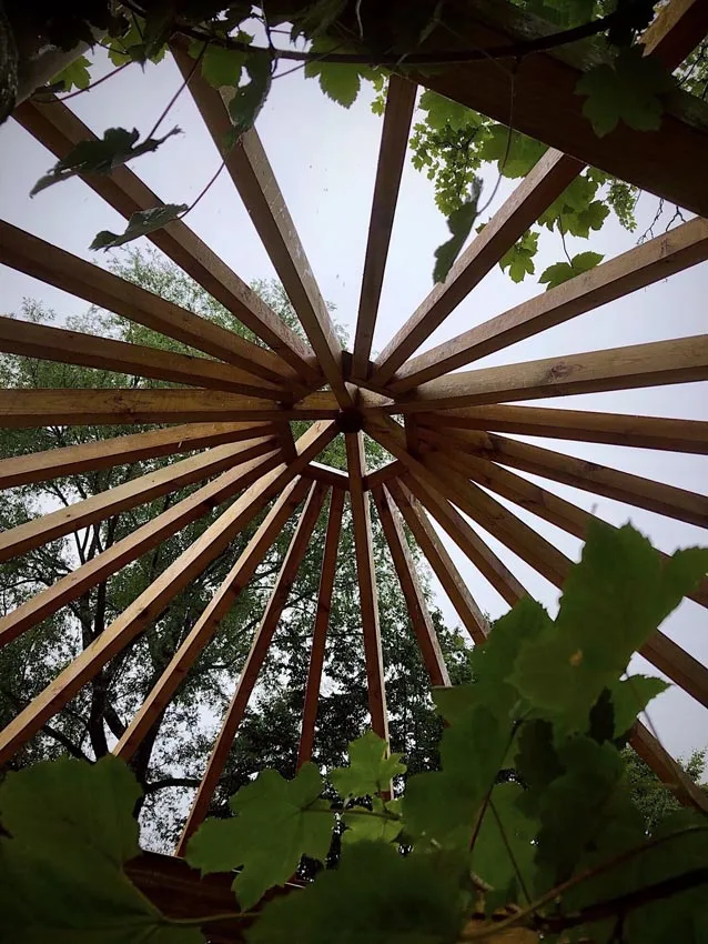 treehouse dome structure