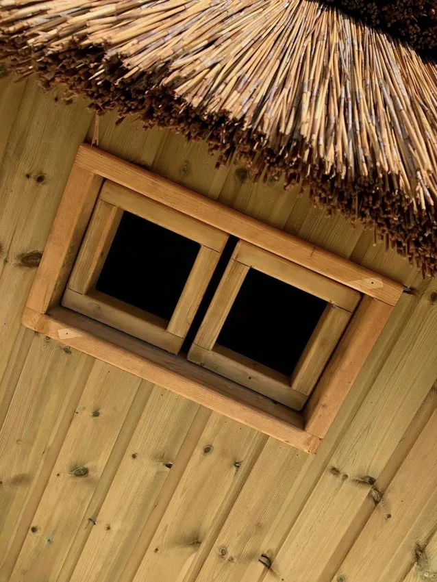 treehouse windows