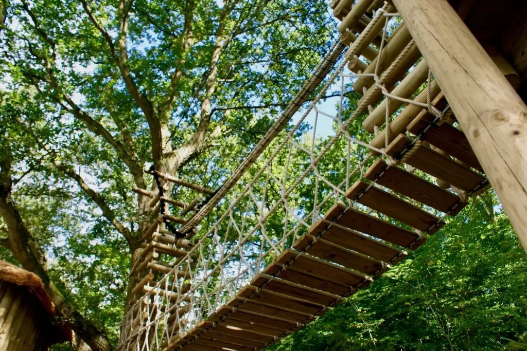 Woodland Rope Bridge and Treetop Walkway