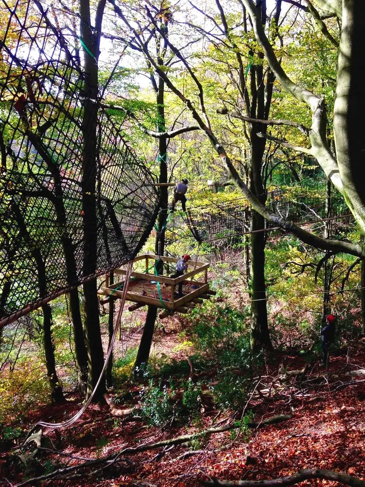 Treetop Walkway leading to a suspended Tree Deck Platform