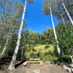 Rope Bridge ground anchoring system for Rope Bridge in Utah for installation in a woodland setting.