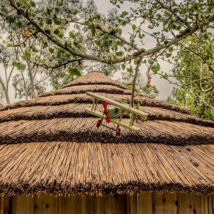 Cape Reed Thatched Roof for Treehouse set in trees with a wooden toy plane.