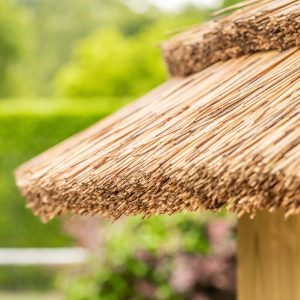 Cape Reed thatched roof for garden Treehouse.