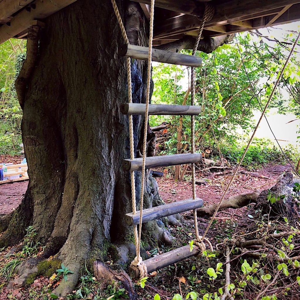 A five runged rope ladder leading to the first floor of a double tree deck.
